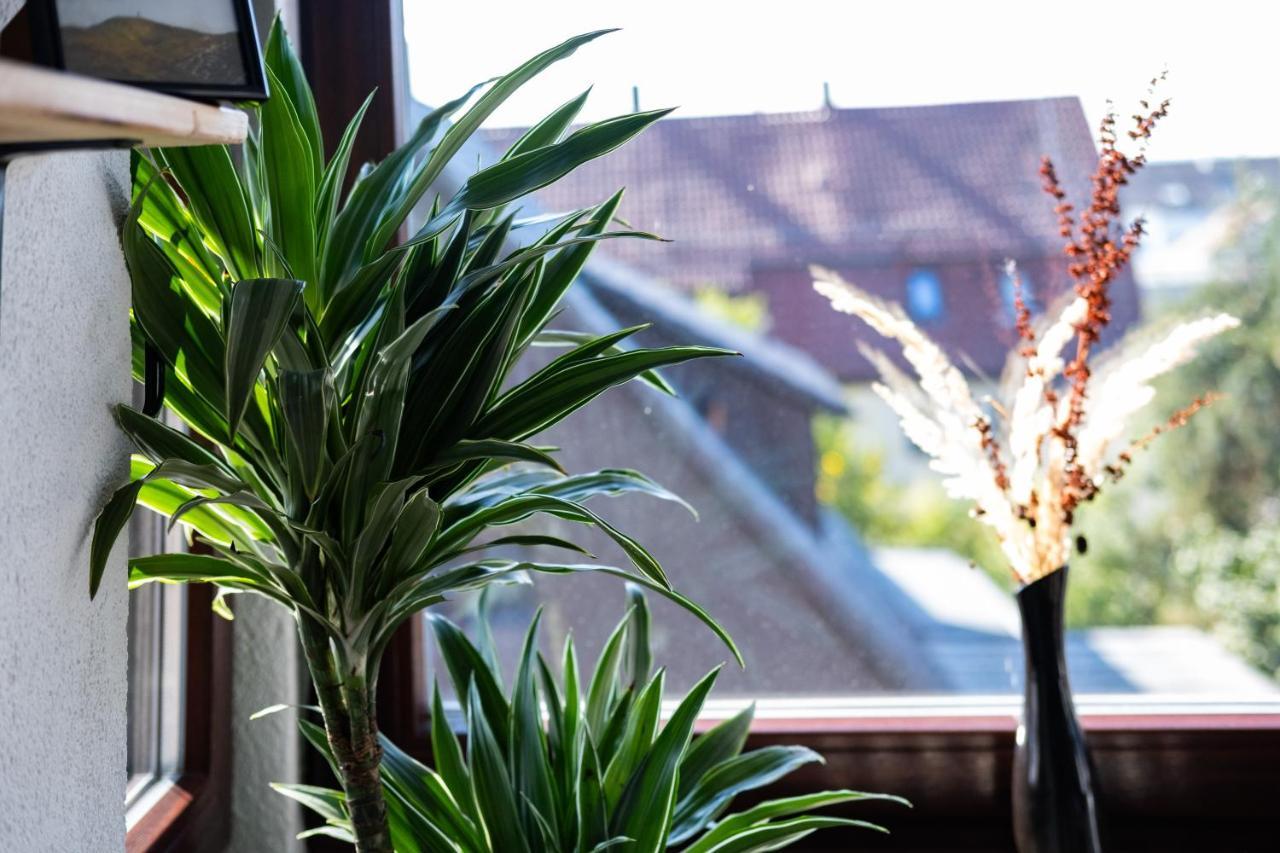 Nature Terminal Apartment - Unterwegs Zuhause Steinenbronn Luaran gambar